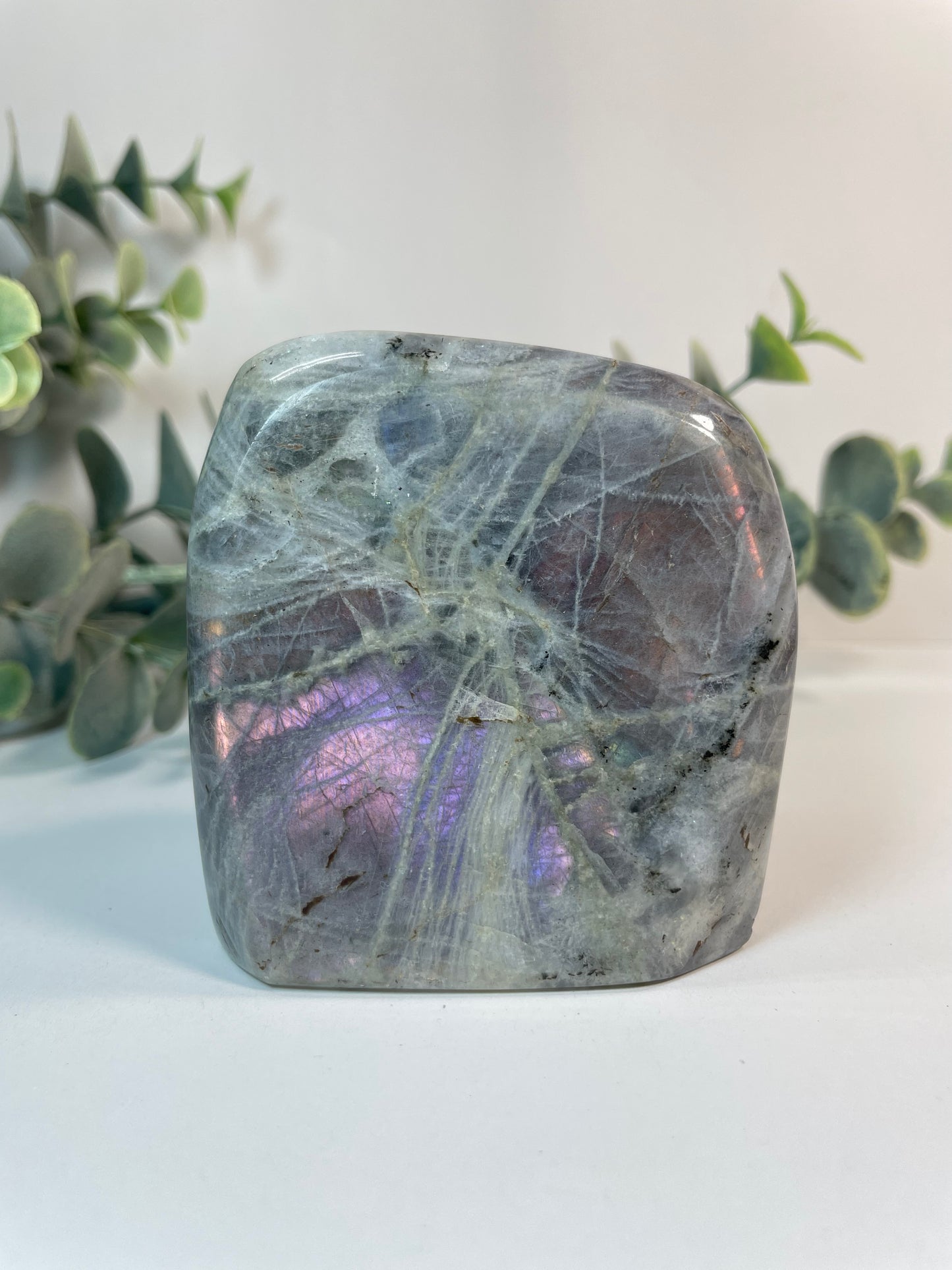 Grauer Labradorit Naturstein mit violettem und lilafarbenem Schimmer (Flash)
