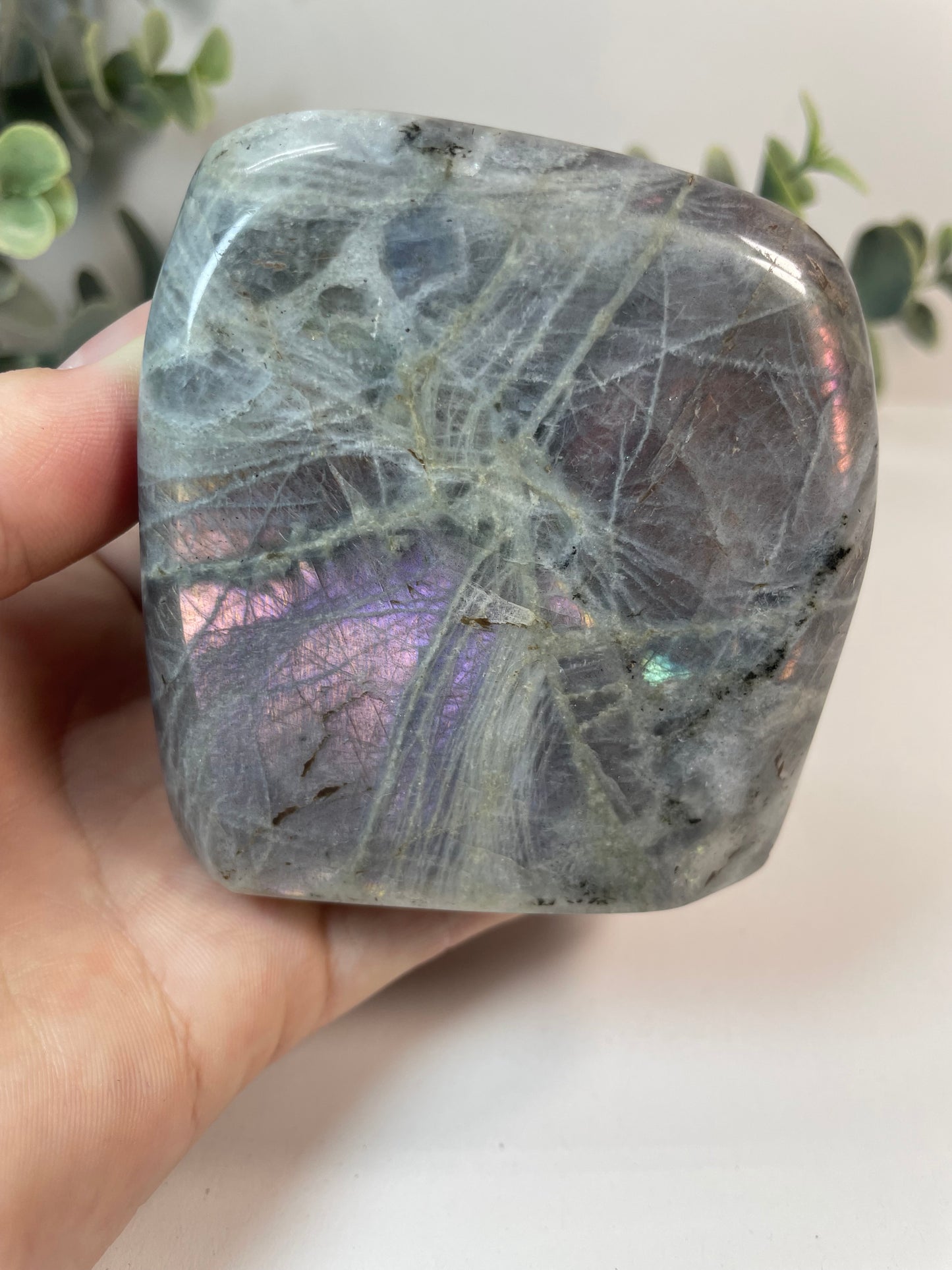 Grauer Labradorit Naturstein mit violettem und lilafarbenem Schimmer (Flash)