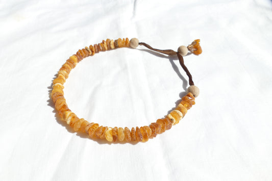 Bernstein-Halsband für kleine Hunde mit Holzperlen